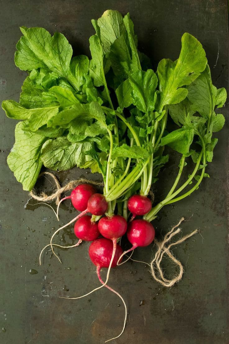 Rabanete